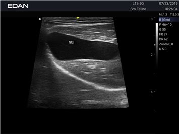 EDAN Acclarix AX8 VET